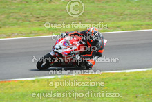 7 DUCATI