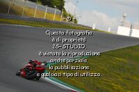 Pilot n° 181 yamaha