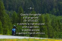 Pilot n° 540 suzuki