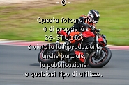 19 ducati